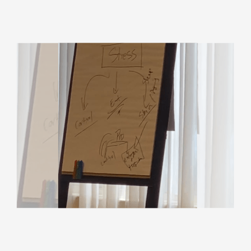 What If Your Hormones Aren’t the Problem After&nbsp;All?